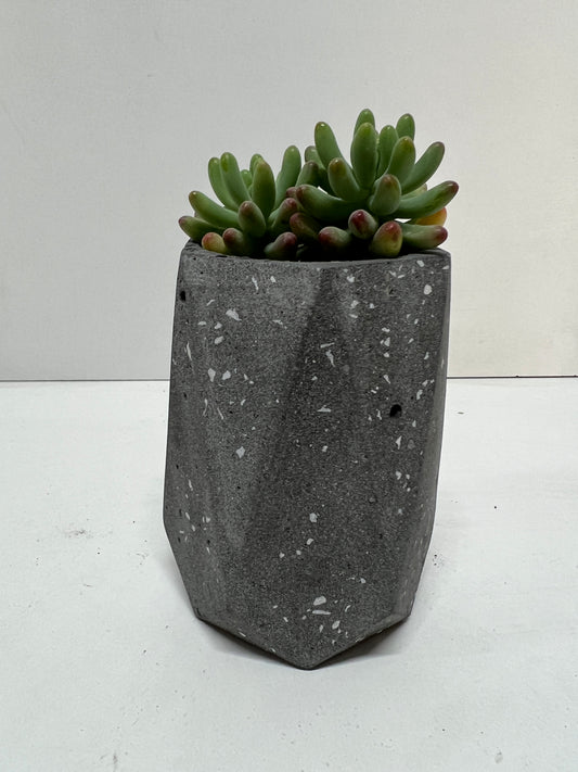 Vaso Olivia terrazzo