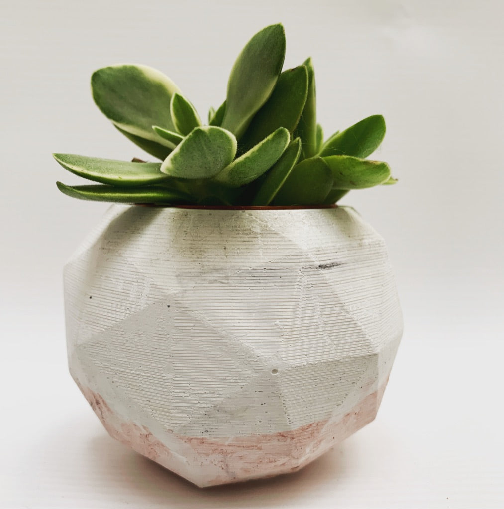 Vaso Penelope
