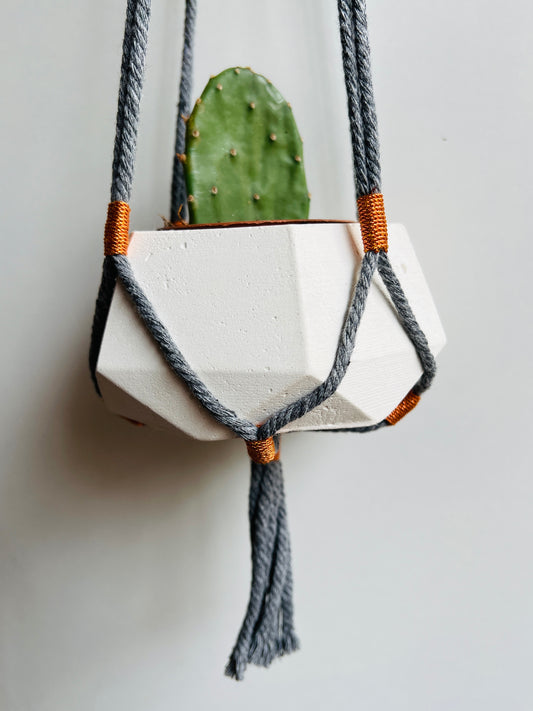 SPECIAL Vaso in cemento Erminia featuring Nodoenodo e cuore seminabile di Sara Solis