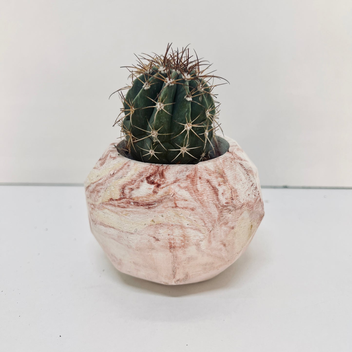 Vaso Penelope
