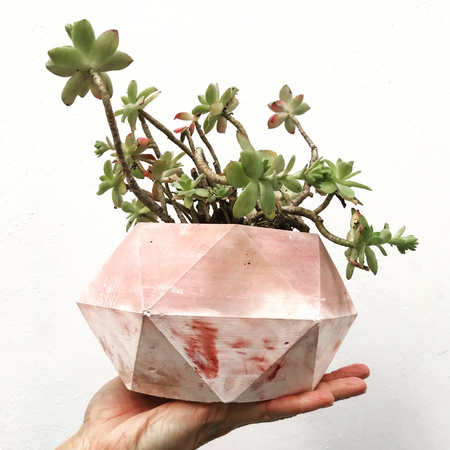 Vaso in cemento serie Giunone marmorizzato e  rosa 