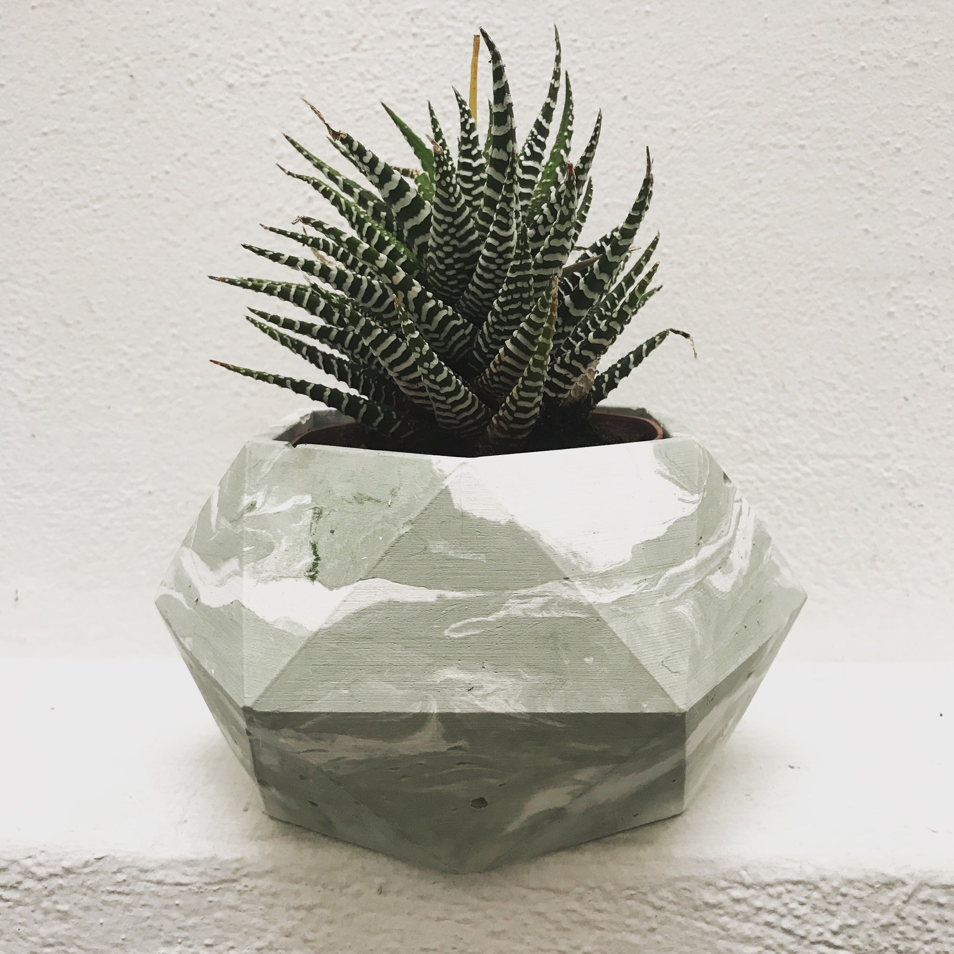 Vaso in cemento serie Giunone bianco e verde