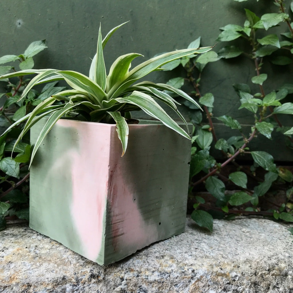 Vaso in cemento serie Carlotta verde e rosa