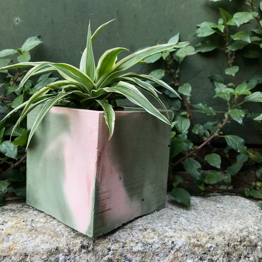 Vaso in cemento serie Carlotta verde e rosa