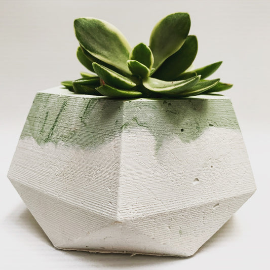 Vaso in cemento serie Erminia bianco e verde