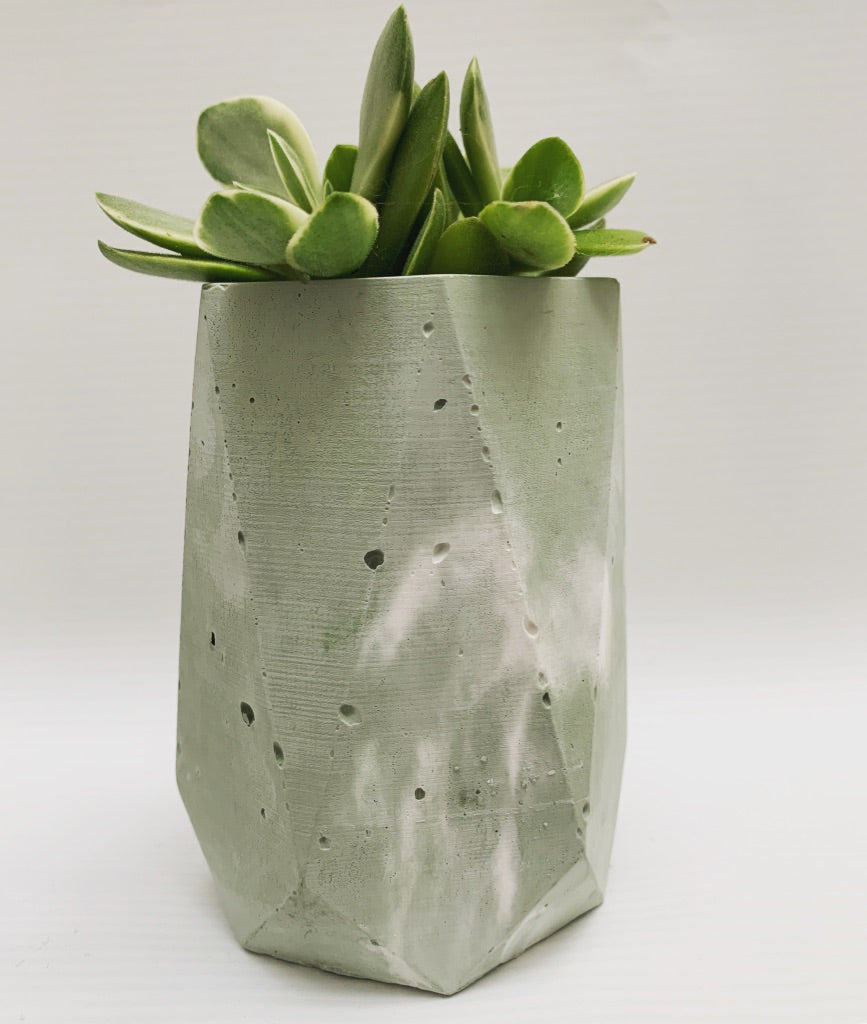 Vaso in cemento serie Olivia bianco e verde