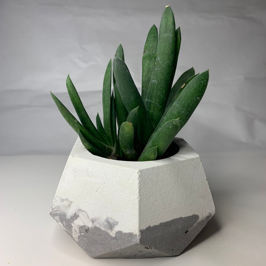 Vaso in cemento serie Erminia grigio e bianco