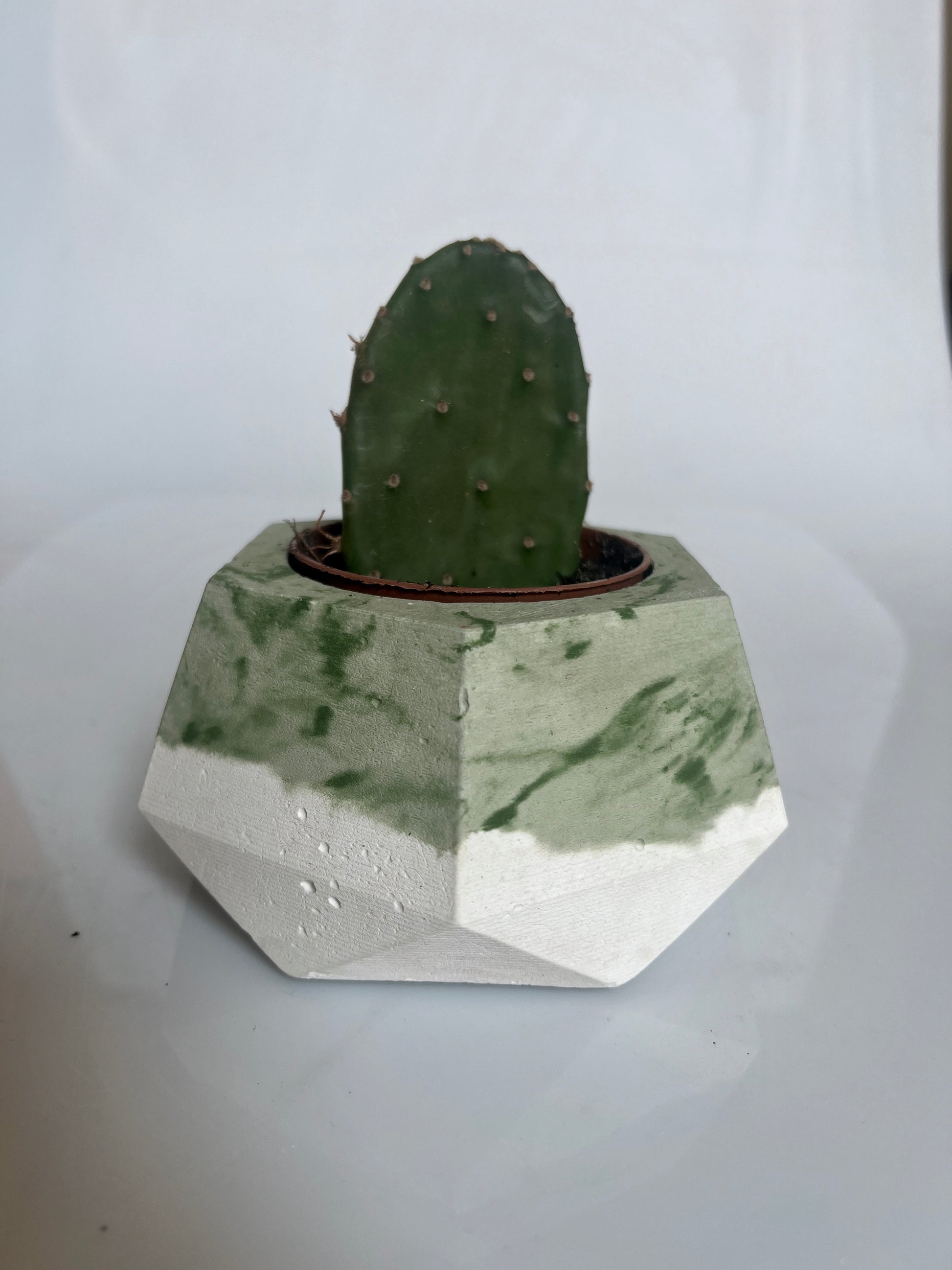 Vaso in cemento serie Erminia bianco e verde