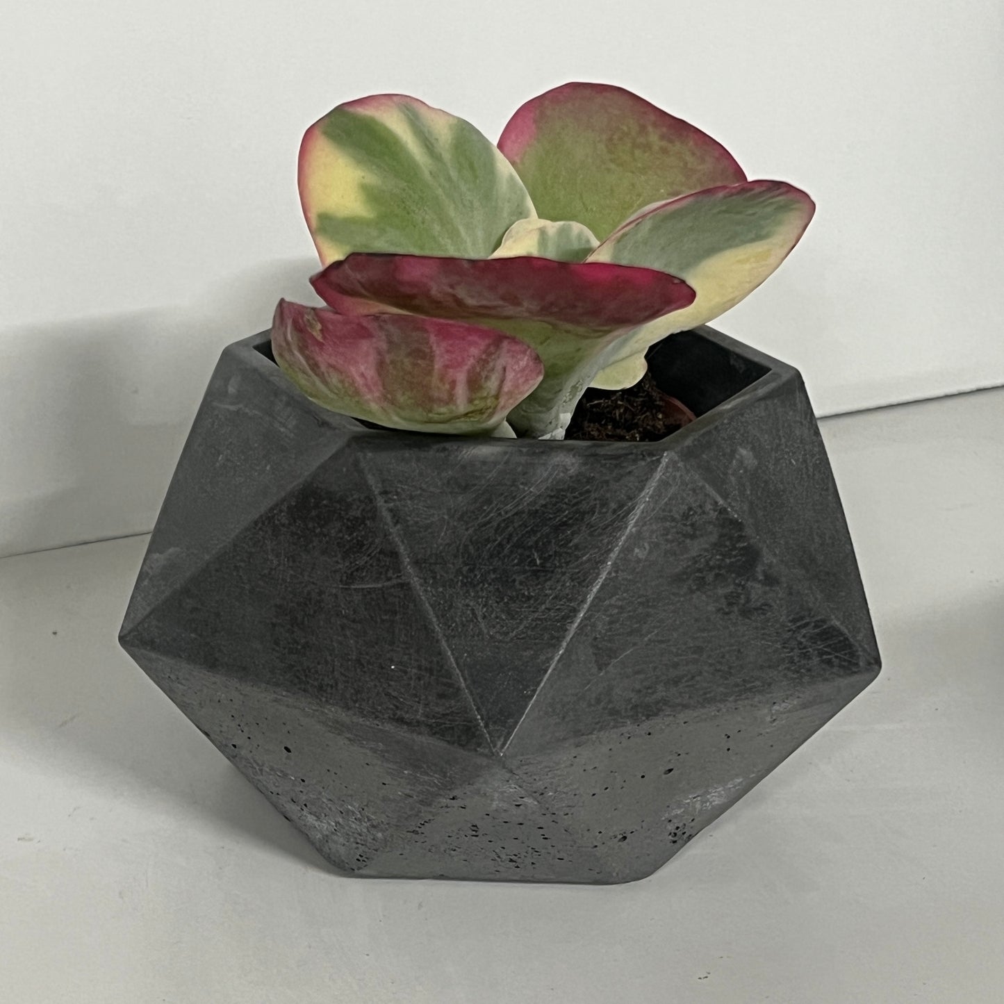 Vaso in cemento serie Giunone nero
