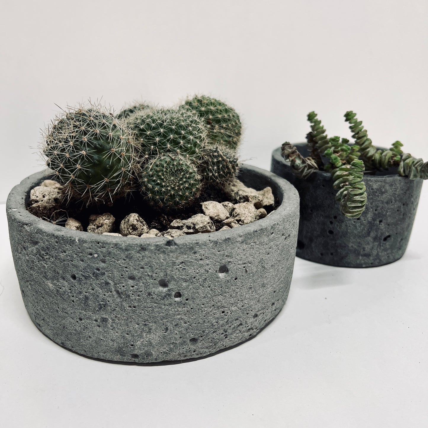 bowl in cemento grezzo