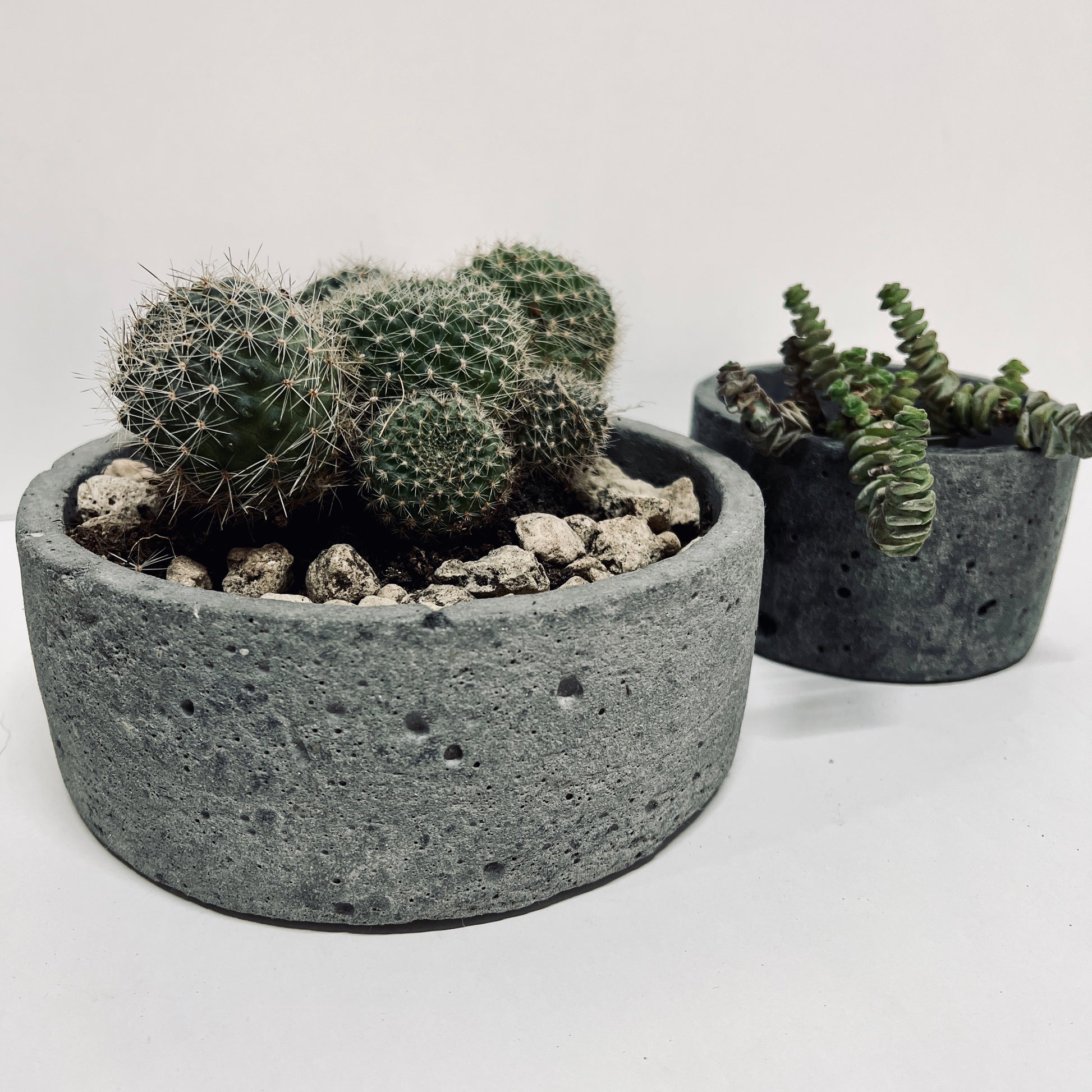 bowl in cemento grezzo