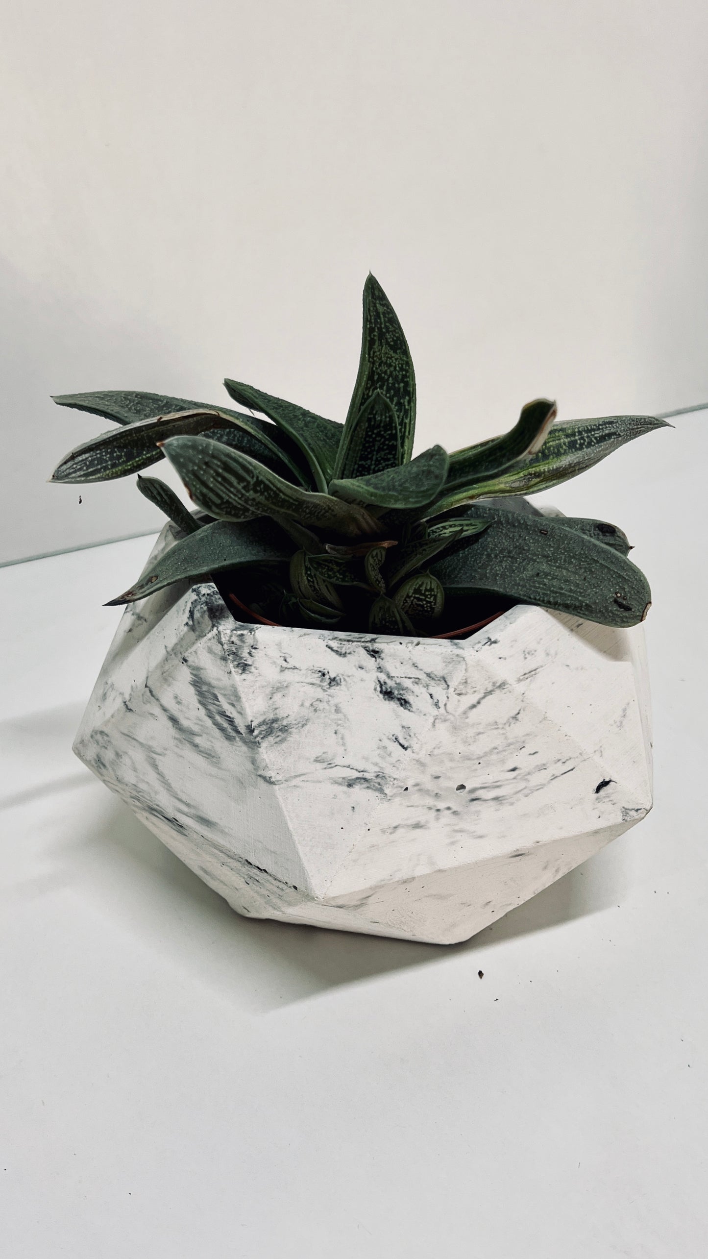 Vaso in cemento serie Giunone marmorizzato nero 