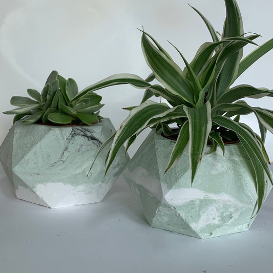 Vaso in cemento serie Isotta bianco e verde
